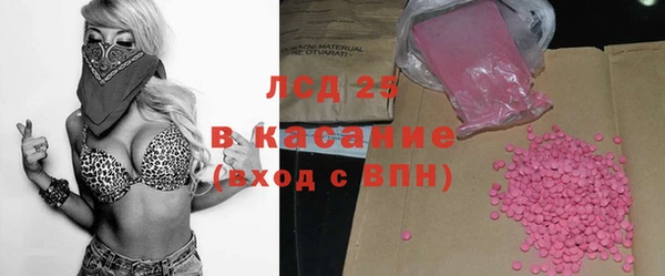 молекула духа Ельня