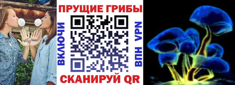 Галлюциногенные грибы мухоморы  купить наркотики сайты  omg зеркало  Светлый 